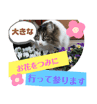 湯浅家のスタンプ6（個別スタンプ：10）