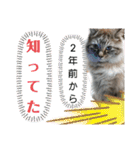 湯浅家のスタンプ6（個別スタンプ：11）