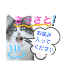 湯浅家のスタンプ6（個別スタンプ：14）