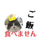 湯浅家のスタンプ6（個別スタンプ：21）