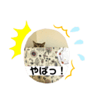 うちのコs（個別スタンプ：7）