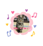 うちのコs（個別スタンプ：8）