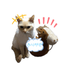 しろべー（個別スタンプ：3）