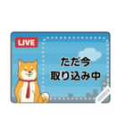 おらの動物園40 【柴犬2】（個別スタンプ：19）