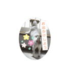 ラテちゃんスタンプ2（個別スタンプ：3）