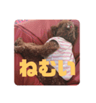 トイプードルリズム‎ちゃん（個別スタンプ：28）