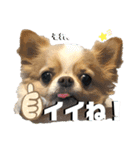 アリスとジルのスタンプ2（個別スタンプ：10）