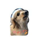 LOVE クッキー（個別スタンプ：4）
