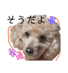 殿若10（個別スタンプ：2）