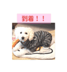 殿若10（個別スタンプ：12）