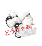 殿若10（個別スタンプ：17）