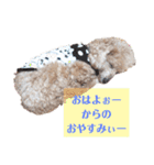 殿若10（個別スタンプ：18）