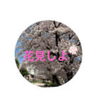 haru'zn（個別スタンプ：4）