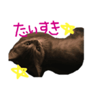 moon.1（個別スタンプ：8）