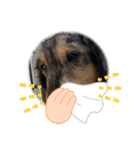 マーブル君のLINEスタンプ（個別スタンプ：13）