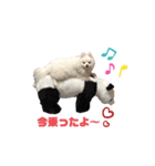 ポケコロちゃん 4（個別スタンプ：5）