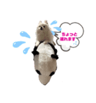 ポケコロちゃん 4（個別スタンプ：6）
