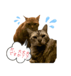 89K①（個別スタンプ：13）