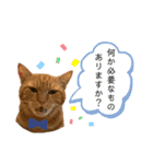89K①（個別スタンプ：16）