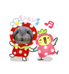 うちのロップ（個別スタンプ：3）