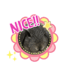うちのロップ（個別スタンプ：13）
