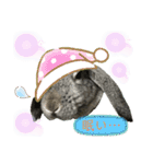 うちのロップ（個別スタンプ：32）