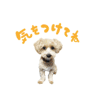 はじめまして、さくです。（個別スタンプ：9）
