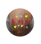 ohana_20200514165727（個別スタンプ：5）