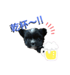 チワマルのユヅちゃん（個別スタンプ：8）