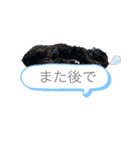 チワマルのユヅちゃん（個別スタンプ：10）
