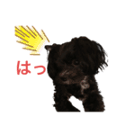 チワマルのユヅちゃん（個別スタンプ：12）