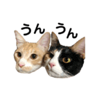 melmei♡2（個別スタンプ：1）