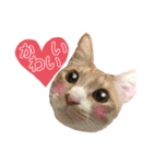 melmei♡2（個別スタンプ：10）