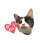 melmei♡2（個別スタンプ：11）