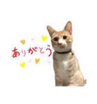 melmei♡2（個別スタンプ：24）
