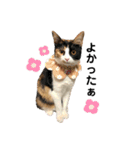 melmei♡2（個別スタンプ：31）