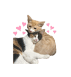 melmei♡2（個別スタンプ：40）