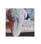 オカメインコパールスタンプ（個別スタンプ：8）