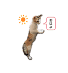 I Love Family①（個別スタンプ：12）