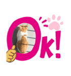 ねこさぶ2（個別スタンプ：2）