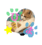 ねこさぶ2（個別スタンプ：6）