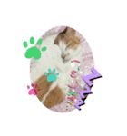 ねこさぶ2（個別スタンプ：7）