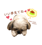 シーズー犬❁こむぎ（個別スタンプ：10）