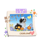 シーズー犬❁こむぎ（個別スタンプ：31）