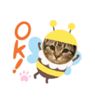 大福のすたんぷ（個別スタンプ：1）