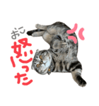 大福のすたんぷ（個別スタンプ：8）