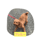 ワンすタンプ（個別スタンプ：2）