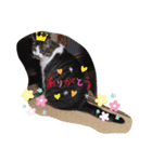 ちょびっと！（個別スタンプ：6）