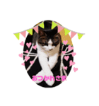 ちょびっと！（個別スタンプ：8）