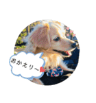 チワックスのてん②（個別スタンプ：14）